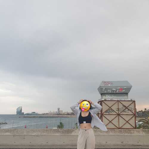 Ssecci