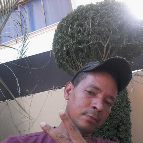 celestinobarr681