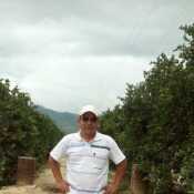 Rolando367