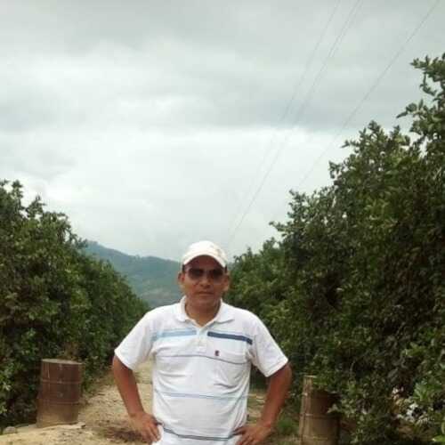 Rolando367