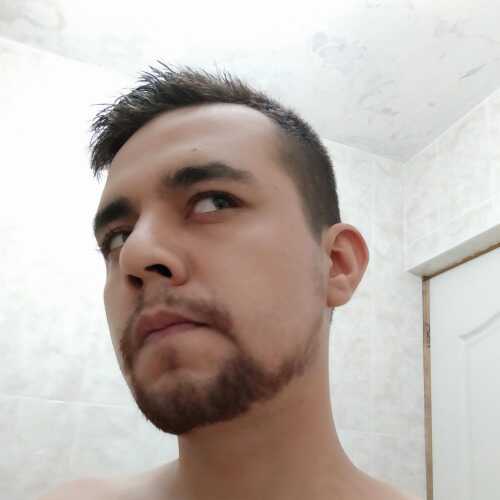 Ulisesgeminis