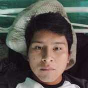 calixtomanr558