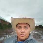 drago336