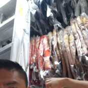 myky17