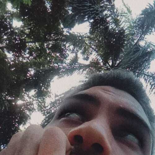 Francis0307