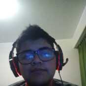 alca32