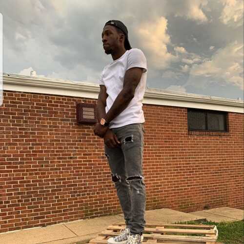 hoggdapr144