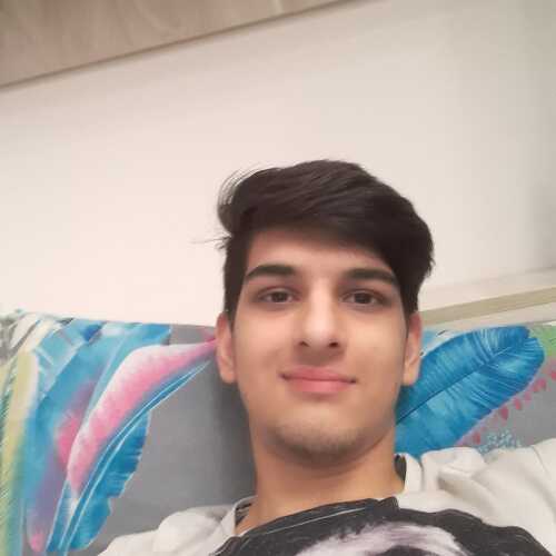 alirezamn254
