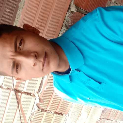 danielcupitraar967