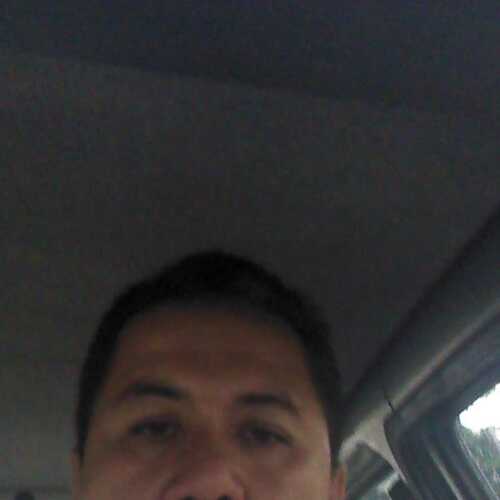 tomav466