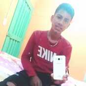 briansc328