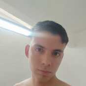javist667