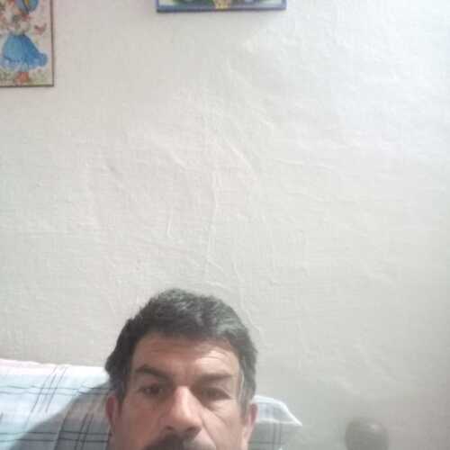 fir804