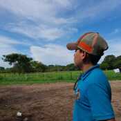 luisalfonsece742