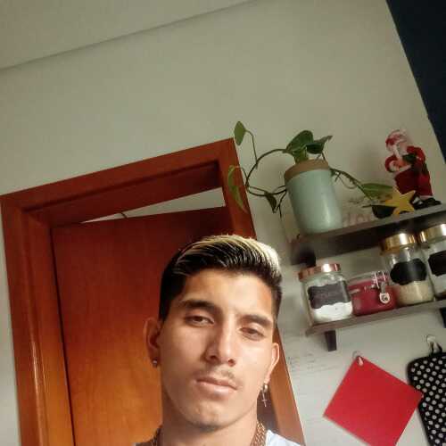 mauroazzoll536
