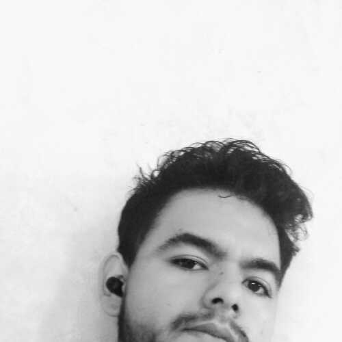allanvar793