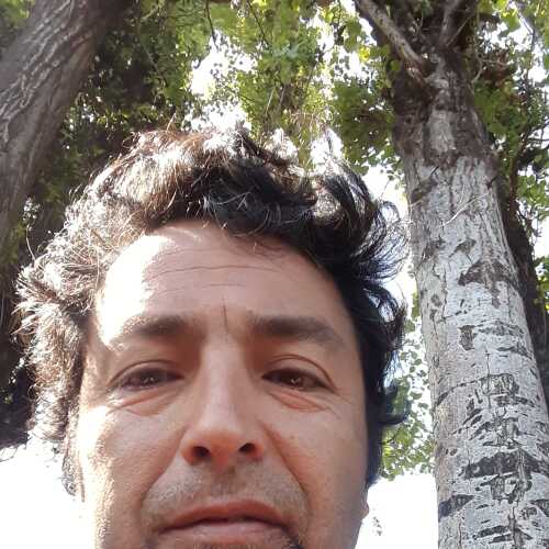 chicobo