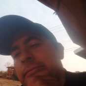 Wilber 