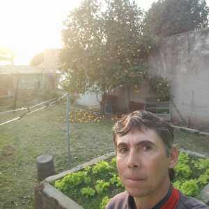 carlosfisc579