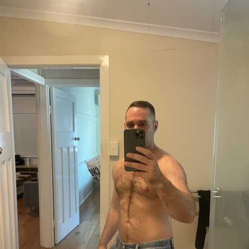 Willstud
