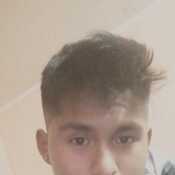mbdavid