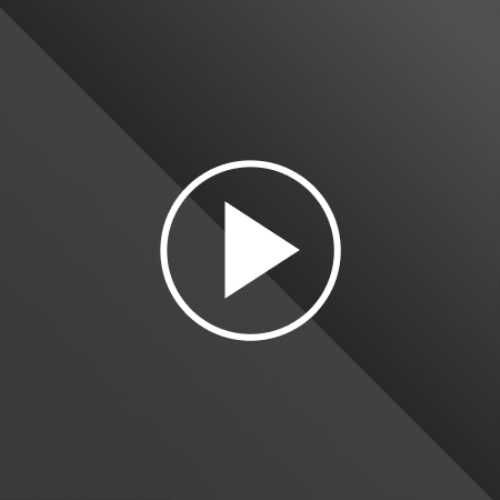 LoyalClimber24bae1