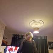 Freebirdfiona