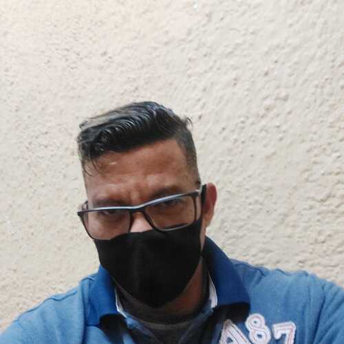 Loganseuz