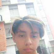 Ele