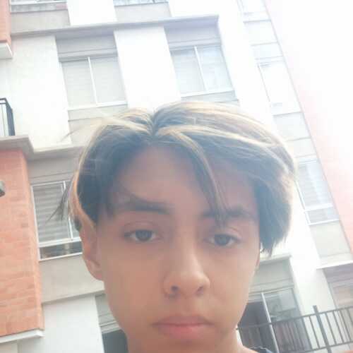 Ele