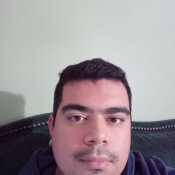 Berttico