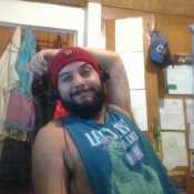 peluche 