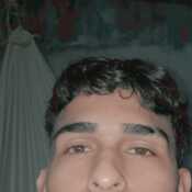 Jerry_elPollon