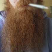 BeardedStoner