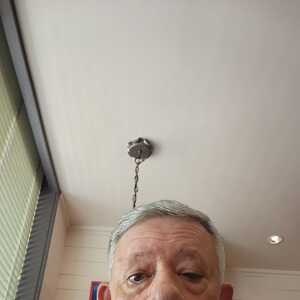 RelaxedStrategistffgcde