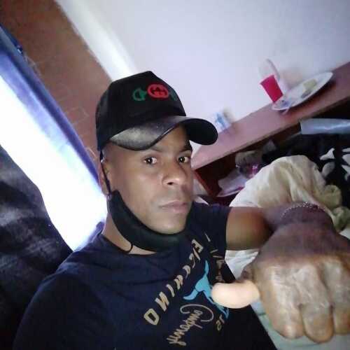 fayve958elmen