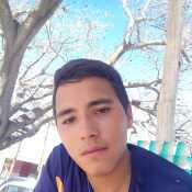 zale718