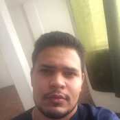 veit533