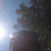 vicentw
