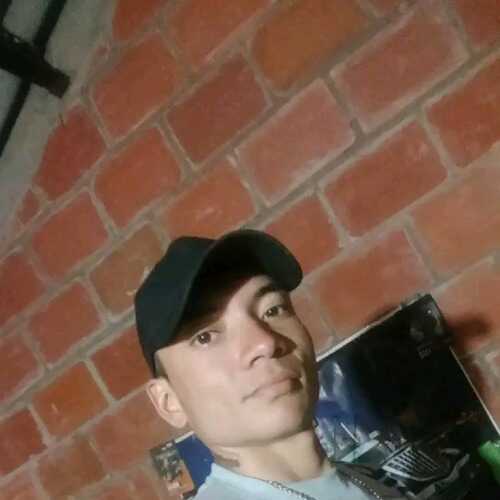 david281