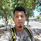 Dalex
