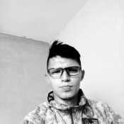 luied91sag