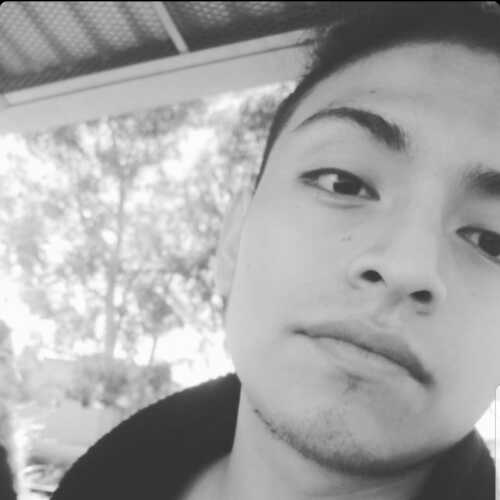 Alexandervas