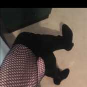 Stocking4fun