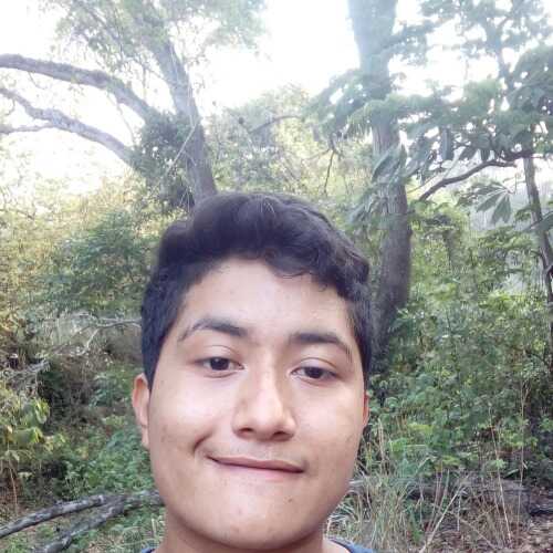 jeremiaslinar781