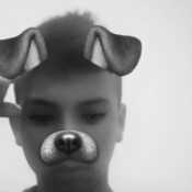 hollo88