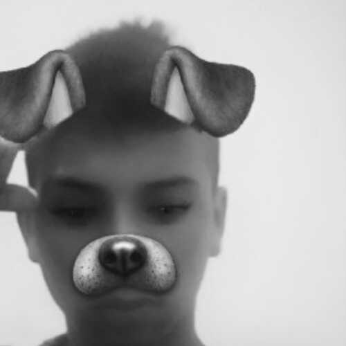 hollo88