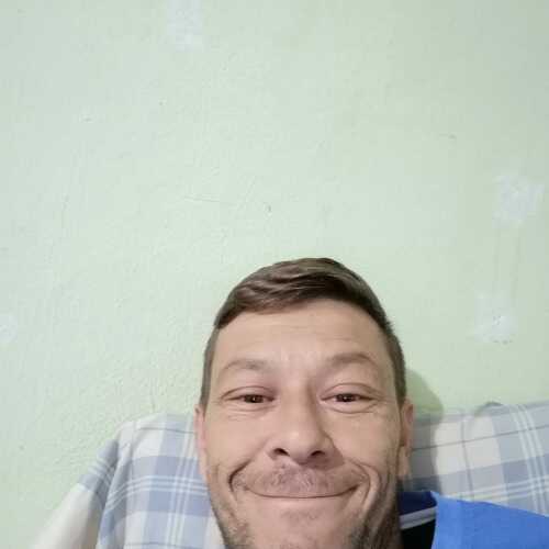 frogp393