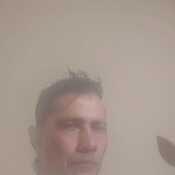 Fredy 