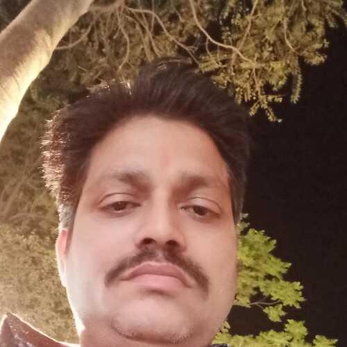 vimaldi439